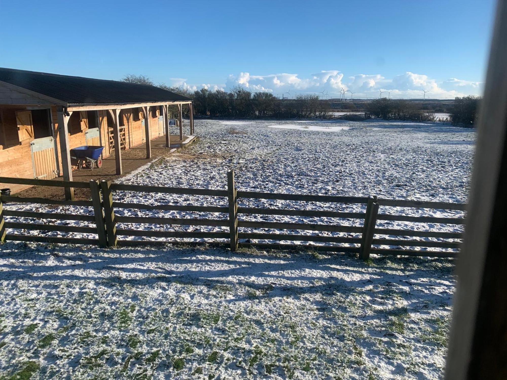 Owls Nest Log Cabin Morpeth Eksteriør bilde